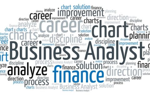 Business_Analyst_(BA)